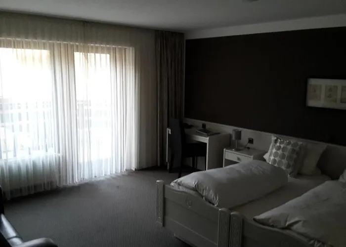 酒店 克莱默酒店 3*