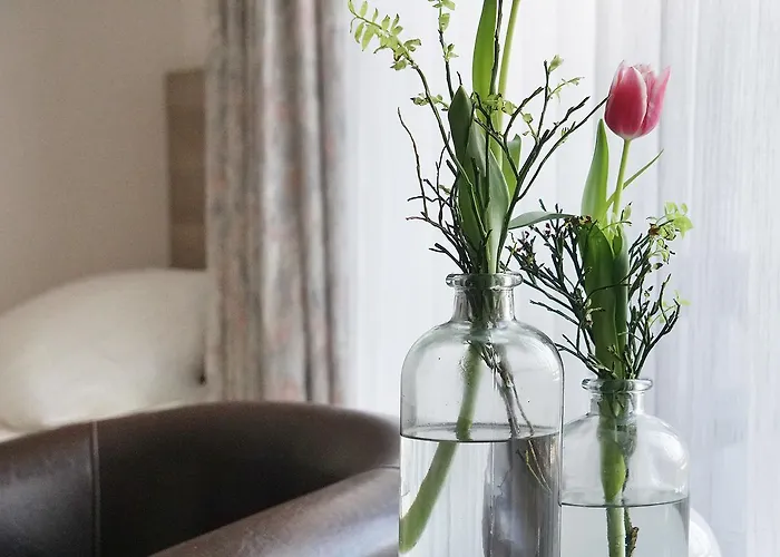 克莱默酒店 酒店